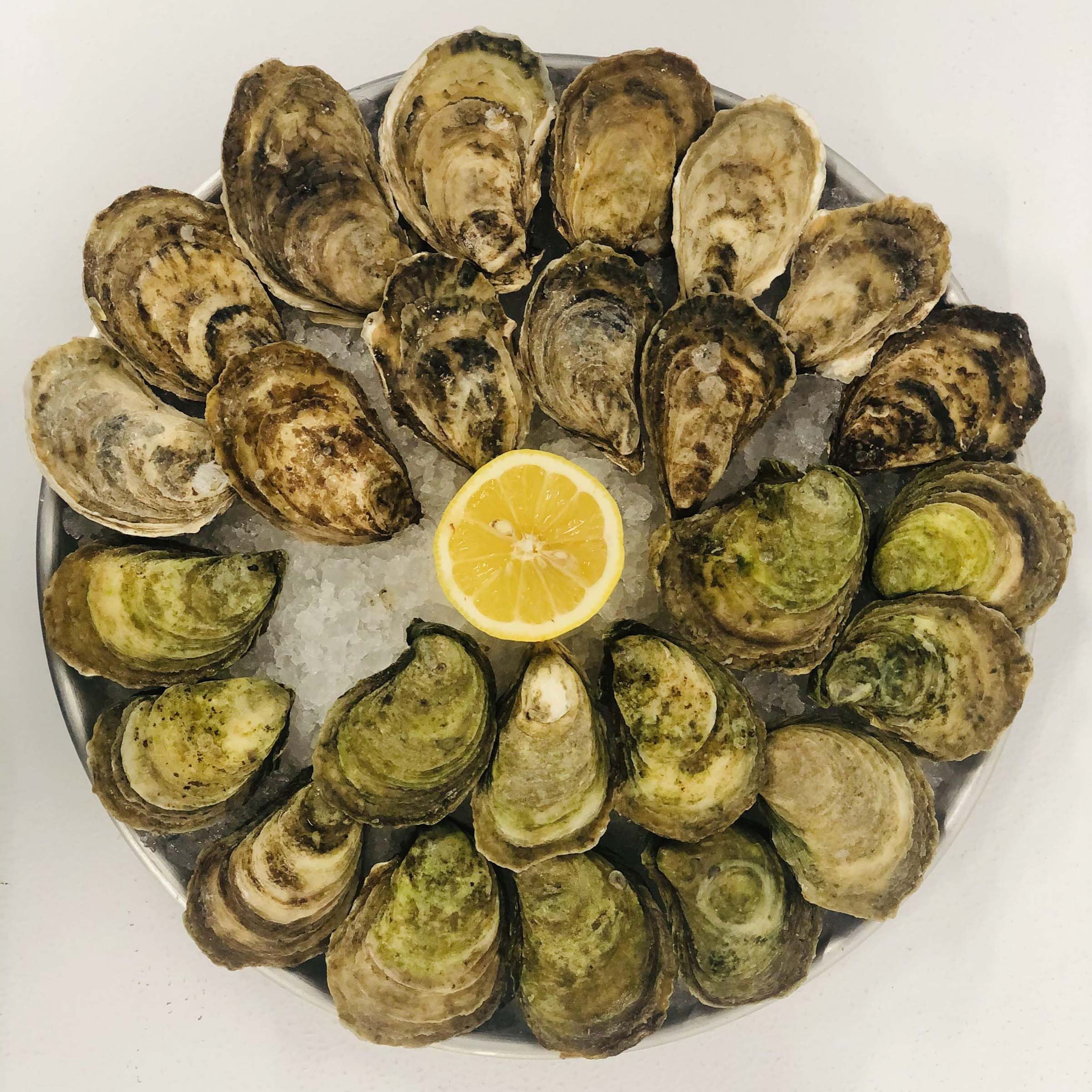 Huîtres de Cascumpec - Sweet Oyster FR