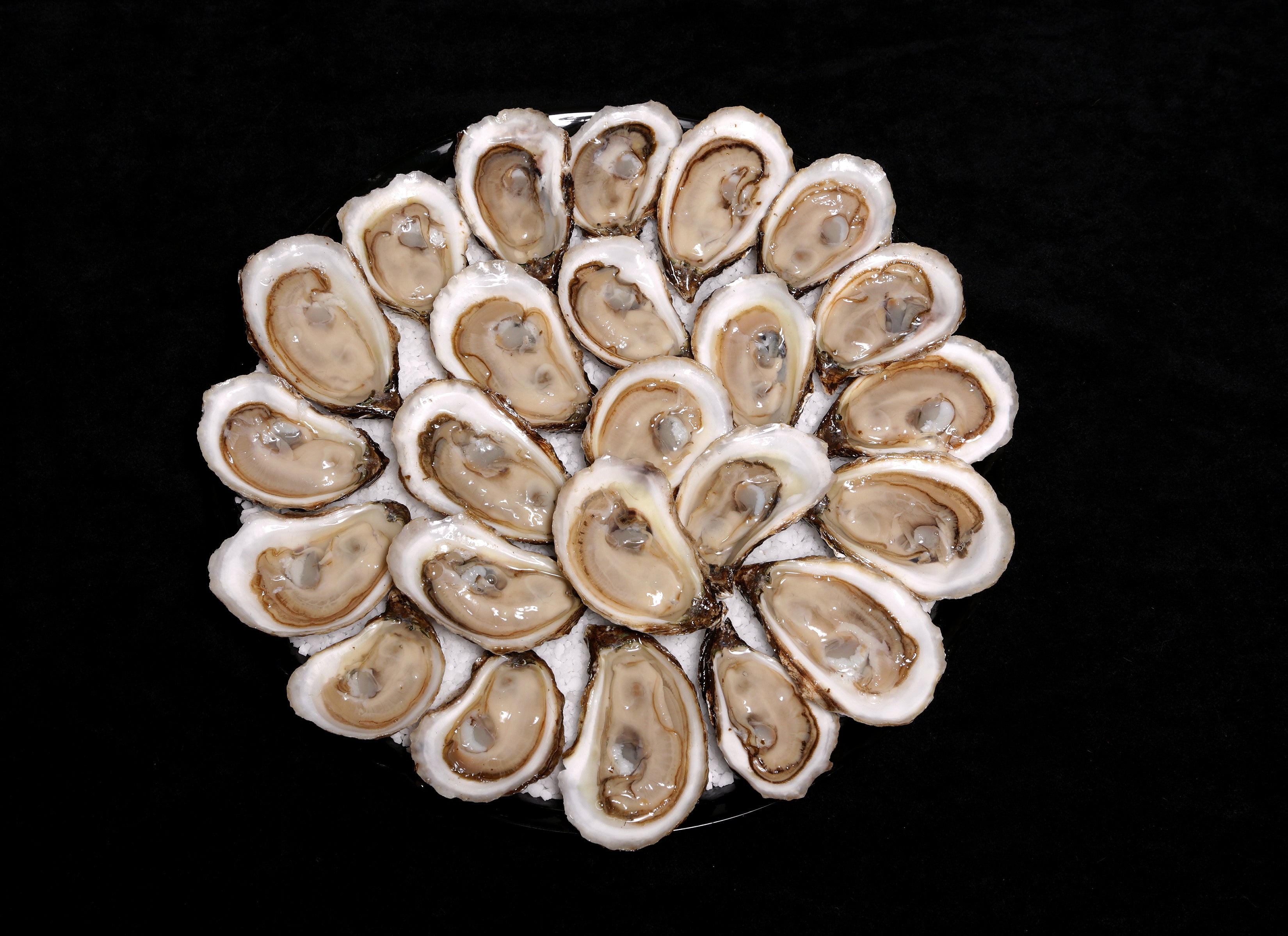 Shucked Lucky Limes Oyster Platter - 25 un. on Ice