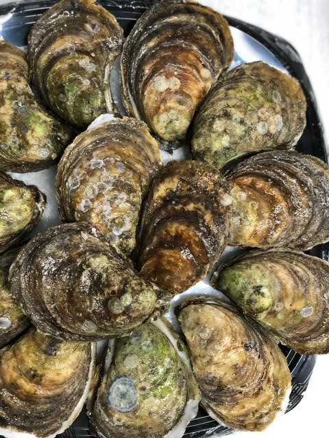 Écailleur d'huîtres gravé, écailleur d'huîtres personnalisé, écailleur de  crustacés, moule, palourde -  France