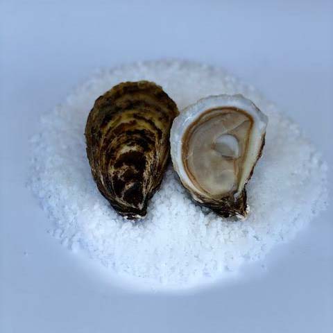 Plaque d’huître, poêle à huîtres en acier inoxydable Oyster Plateau
